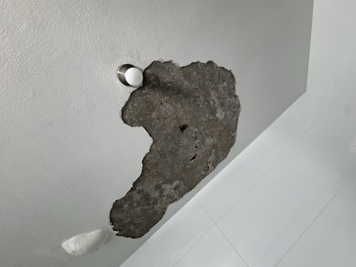 Damaged ceiling opened up for plaster repair